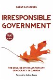 Irresponsible Government (eBook, ePUB)