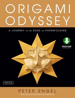 Origami Odyssey (eBook, ePUB) - Engel, Peter