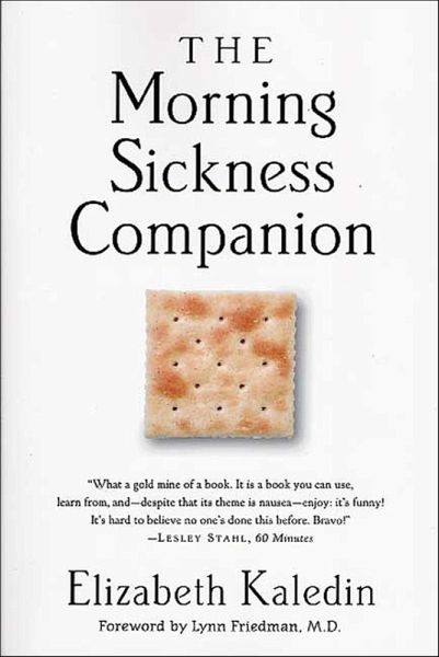 The Morning Sickness Companion (eBook, ePUB)