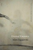 Eternal Enemies (eBook, ePUB)
