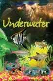 Underwater (eBook, ePUB)
