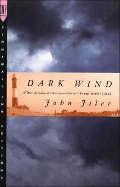 Cover Dark Wind (eBook, ePUB)