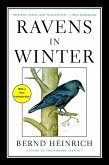 Ravens in Winter (eBook, ePUB)