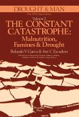 The Constant Catastrophe (eBook, PDF)