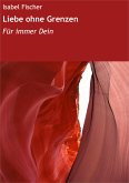 Liebe ohne Grenzen (eBook, ePUB)