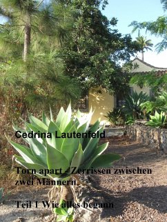 Cover Torn apart - Zerrissen zwischen zwei Männern (eBook, ePUB)