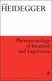 Phenomenology of Intuition and Expression (eBook, ePUB)