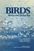 Birds (eBook, PDF)