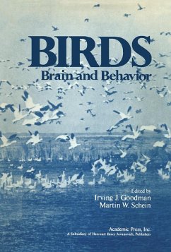 Cover Birds (eBook, PDF)