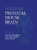 Atlas of the Prenatal Mouse Brain (eBook, PDF)
