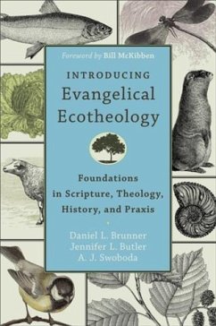 Introducing Evangelical Ecotheology (eBook, ePUB) - Brunner, Daniel L.