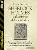 Sherlock Holmes e il labirinto della solitudine (eBook, ePUB)