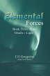 Elemental Forces (eBook, ePUB) - Bild 1