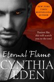 Eternal Flame (eBook, ePUB)