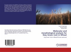 Molecular and morphological analysis for Stay Green trait in Wheat - Pratap Singh, Naresh;Paliwal, Himanshi;Shami, Vaishali