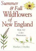Summer & Fall Wildflowers of New England (eBook, ePUB)