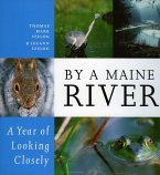 By a Maine River (eBook, ePUB)