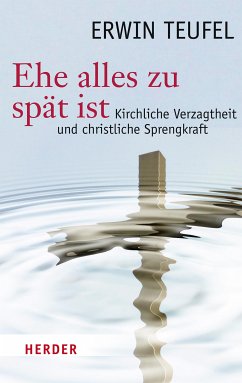 Ehe alles zu spät ist (eBook, ePUB) - Teufel, Erwin