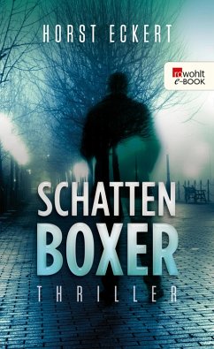 Schattenboxer (eBook, ePUB) - Eckert, Horst