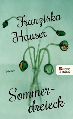 Sommerdreieck (eBook, ePUB) - Hauser, Franziska