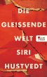 Die gleißende Welt (eBook, ePUB) - Bild 1