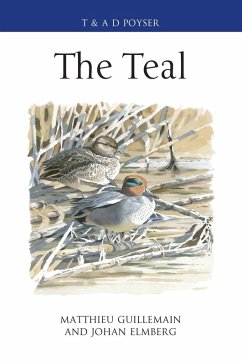 The Teal (eBook, PDF) - Guillemain, Matthieu; Elmberg, Johan