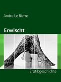 Erwischt (eBook, ePUB)
