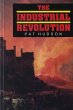 The Industrial Revolution (eBook, ePUB) - Bild 1