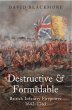Destructive and Formidable (eBook, PDF) - Bild 1