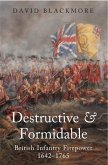 Destructive and Formidable (eBook, PDF)