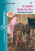 A Saddle Made For Two (eBook, ePUB)