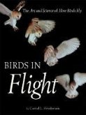 Birds in Flight (eBook, ePUB)