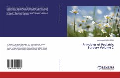 Principles of Pediatric Surgery Volume 2 - Al-Salem, Ahmed;Abdulla, Mohamed Ramadan