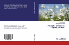 Principles of Pediatric Surgery Volume 2