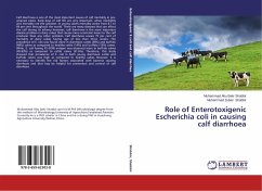 Role of Enterotoxigenic Escherichia coli in causing calf diarrhoea