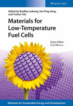 Cover Materials for Low-Temperature Fuel Cells (eBook, PDF)