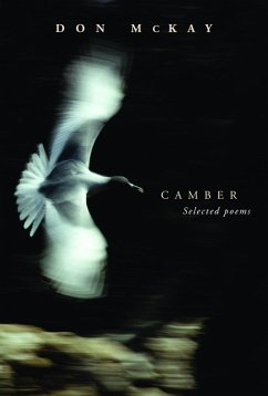 Cover Camber (eBook, ePUB)
