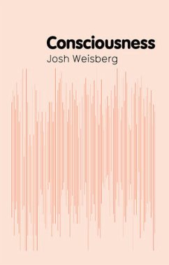 Consciousness (eBook, ePUB) - Weisberg, Josh