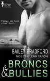 Broncs and Bullies (eBook, ePUB)