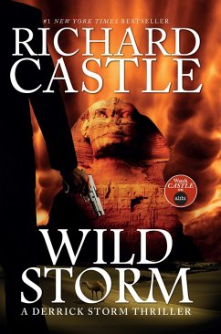 Wild Storm (eBook, ePUB) - Castle, Richard