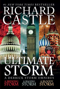 Ultimate Storm (eBook, ePUB) - Castle, Richard