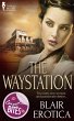 The Waystation (eBook, ePUB) - Bild 1