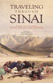 Traveling through Sinai (eBook, PDF)