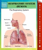 Respiratory System (Human) Speedy Study Guides (eBook, ePUB)