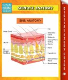 Surface Anatomy Speedy Study Guides (eBook, ePUB)