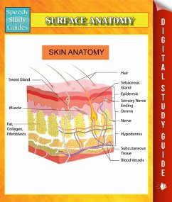 Surface Anatomy Speedy Study Guides (eBook, ePUB) - Publishing, Speedy