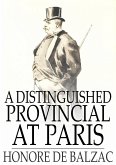 Distinguished Provincial at Paris (eBook, ePUB)