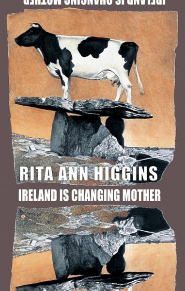 Ireland Is Changing Mother (eBook, ePUB)