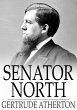 Senator North (eBook, ePUB) - Bild 1