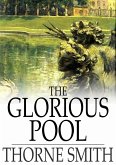 Glorious Pool (eBook, ePUB)